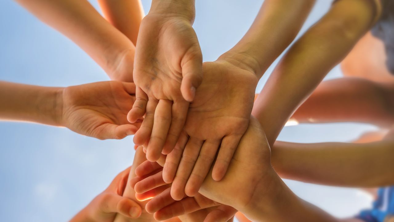 green bold indian jungle youtube thumbnail