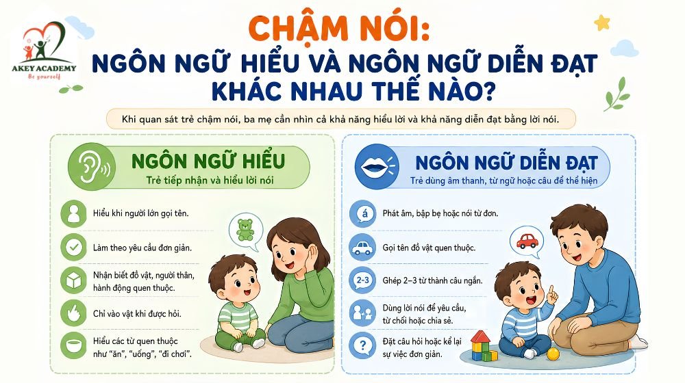 Khi đánh giá trẻ chậm nói, ba mẹ cần quan sát cả ngôn ngữ hiểu và ngôn ngữ diễn đạt, không chỉ dựa vào số lượng từ trẻ nói được.